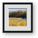 Buy Framed Print
