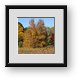 Buy Framed Print