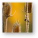 Buy Metal Print
