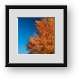 Buy Framed Print