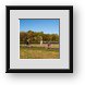 Buy Framed Print