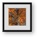 Buy Framed Print