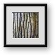 Buy Framed Print