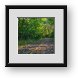 Buy Framed Print