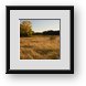 Buy Framed Print