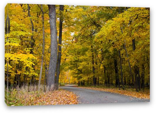 Wheeling, IL Fine Art Canvas Print