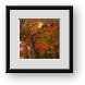 Buy Framed Print