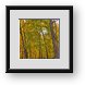 Buy Framed Print