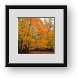 Buy Framed Print