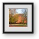 Buy Framed Print