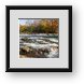 Buy Framed Print
