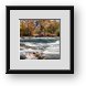 Buy Framed Print