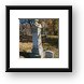 Taylor Cemetery, Est. 1837 - Galena, IL Framed Print