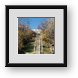 Buy Framed Print