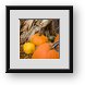 Buy Framed Print