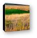 Galena's colorful fields Canvas Print