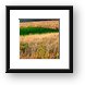 Galena's colorful fields Framed Print