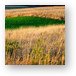 Galena's colorful fields Metal Print