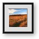 Buy Framed Print