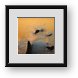 Buy Framed Print