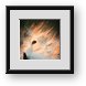 Buy Framed Print
