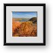 Buy Framed Print