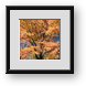 Buy Framed Print