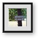 Buy Framed Print