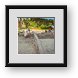Buy Framed Print