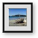 Buy Framed Print