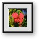 Buy Framed Print
