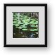 Buy Framed Print