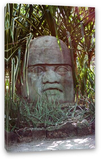 Giant Mayan head sculpture (Chankanaab Nature Park) Fine Art Canvas Print