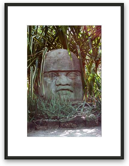 Giant Mayan head sculpture (Chankanaab Nature Park) Framed Fine Art Print