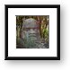 Giant Mayan head sculpture (Chankanaab Nature Park) Framed Print