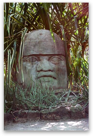 Giant Mayan head sculpture (Chankanaab Nature Park) Fine Art Metal Print