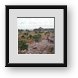 Buy Framed Print