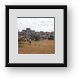 Buy Framed Print