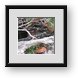 Buy Framed Print