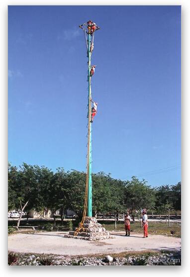 Performers high in the air  pole dancers? Fine Art Print