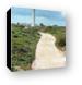 Sandy road to Punta Colarain Lighthouse Canvas Print