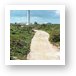 Sandy road to Punta Colarain Lighthouse Art Print