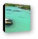 The lagoon at Xel-Ha was warm and perfect for snorkeling Canvas Print