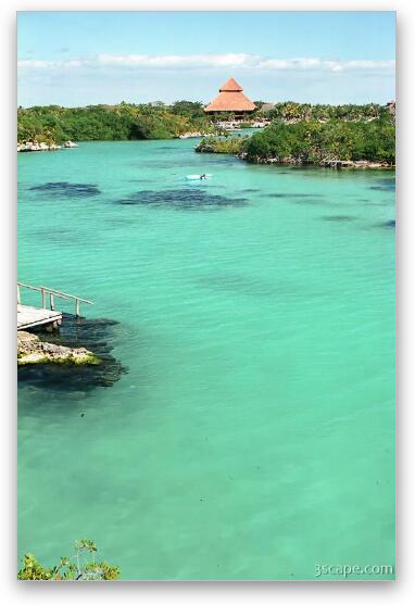 The lagoon at Xel-Ha was warm and perfect for snorkeling Fine Art Metal Print