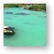 The lagoon at Xel-Ha was warm and perfect for snorkeling Metal Print