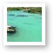 The lagoon at Xel-Ha was warm and perfect for snorkeling Art Print