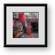 Buy Framed Print