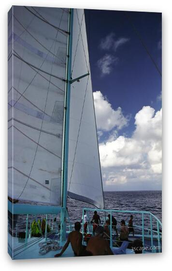 Sailing on the Reef Explorer catamaran Fine Art Canvas Print