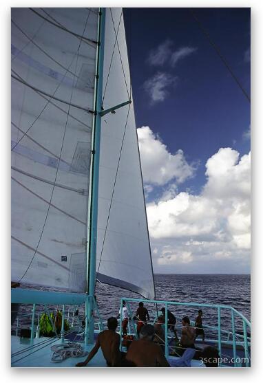 Sailing on the Reef Explorer catamaran Fine Art Metal Print