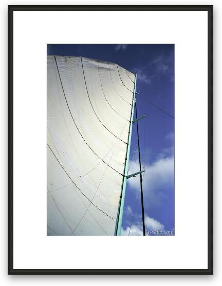 Sail of the Reef Explorer catamaran Framed Fine Art Print